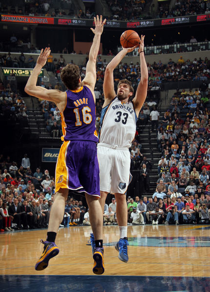 共同谱写了 共同谱写了