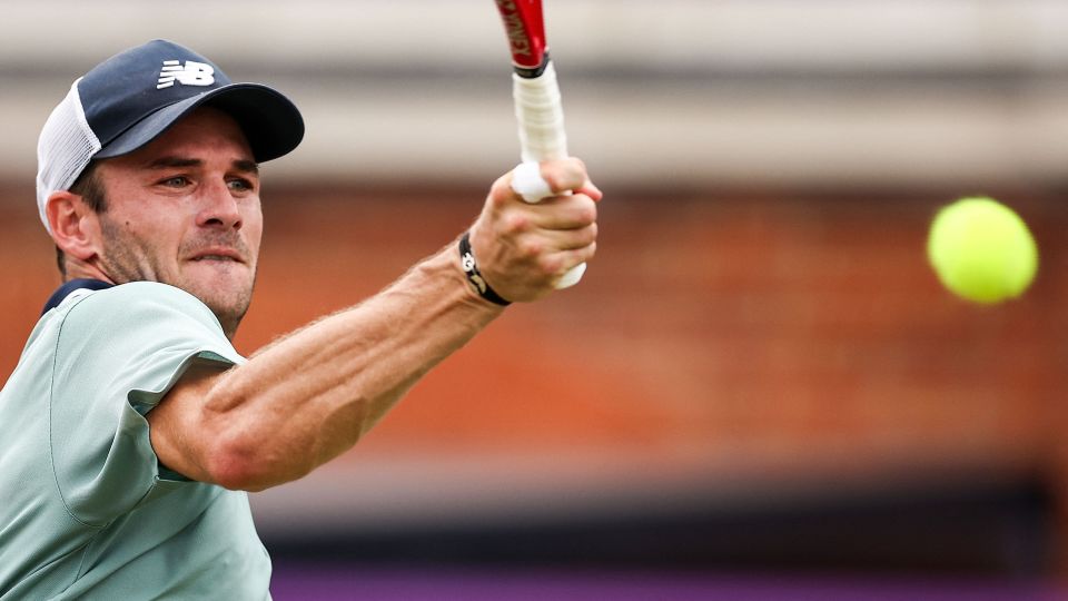 球迷的热门 球迷的热门